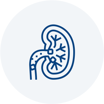 Adult & Pediatric Urodynamics