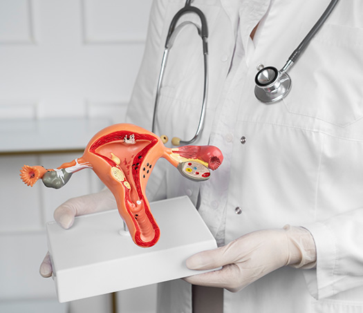 Bladder Dysfunction Treatment